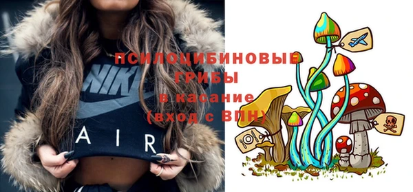 apvp Мегион