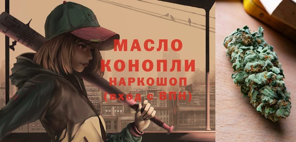 индика Медногорск