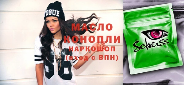 индика Медногорск