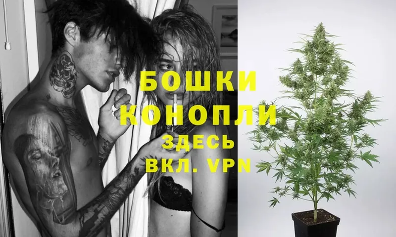 ссылка на мегу зеркало  Кирс  Шишки марихуана White Widow 