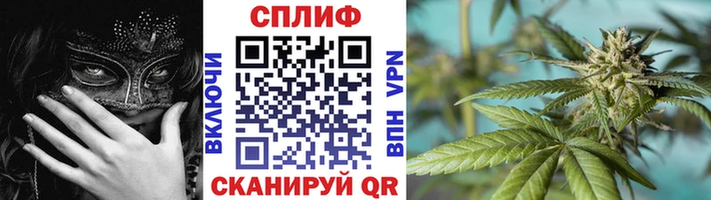 Шишки марихуана THC 21%  Кирс 
